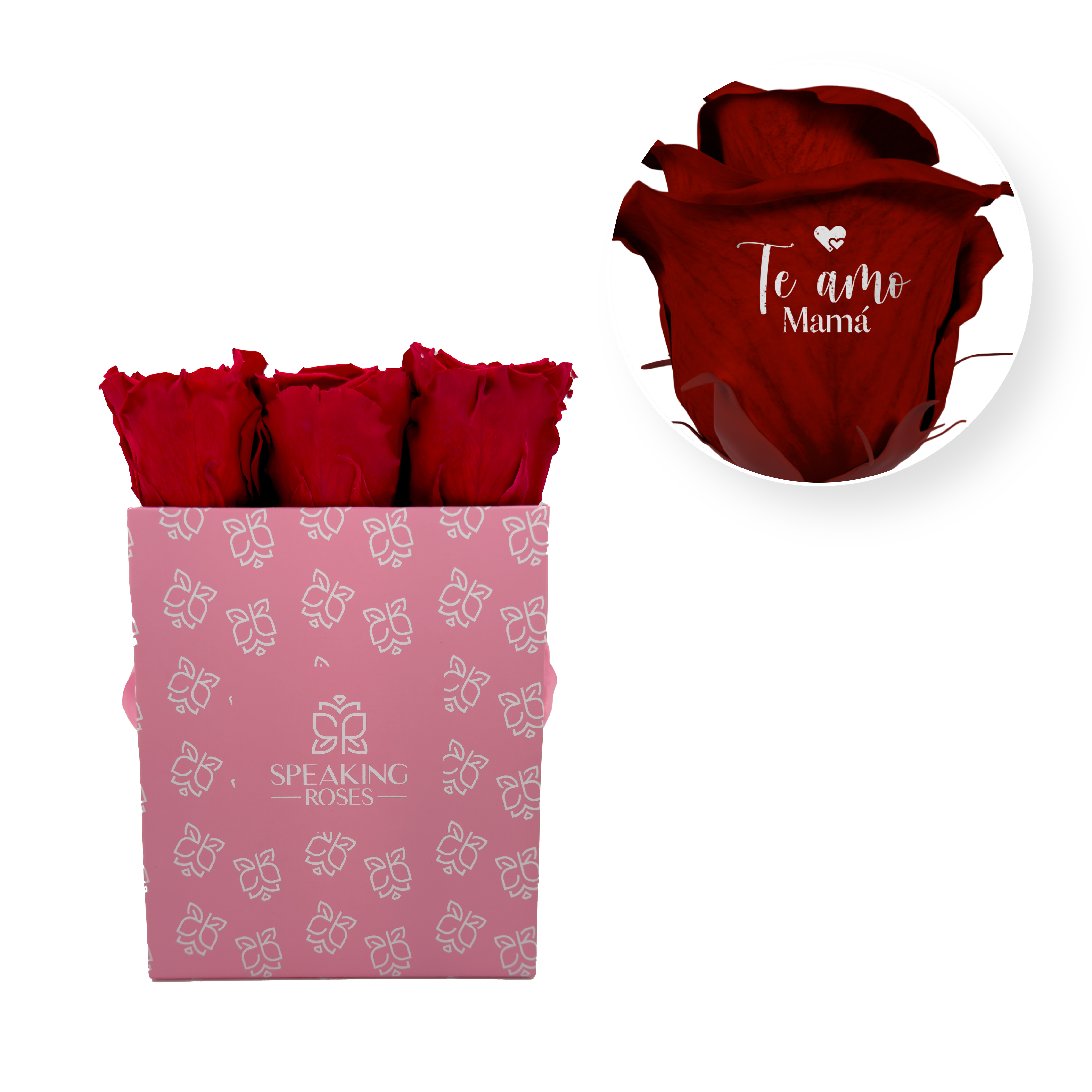 Te amo mam - Square Paper Box (9 Preserved Heads)