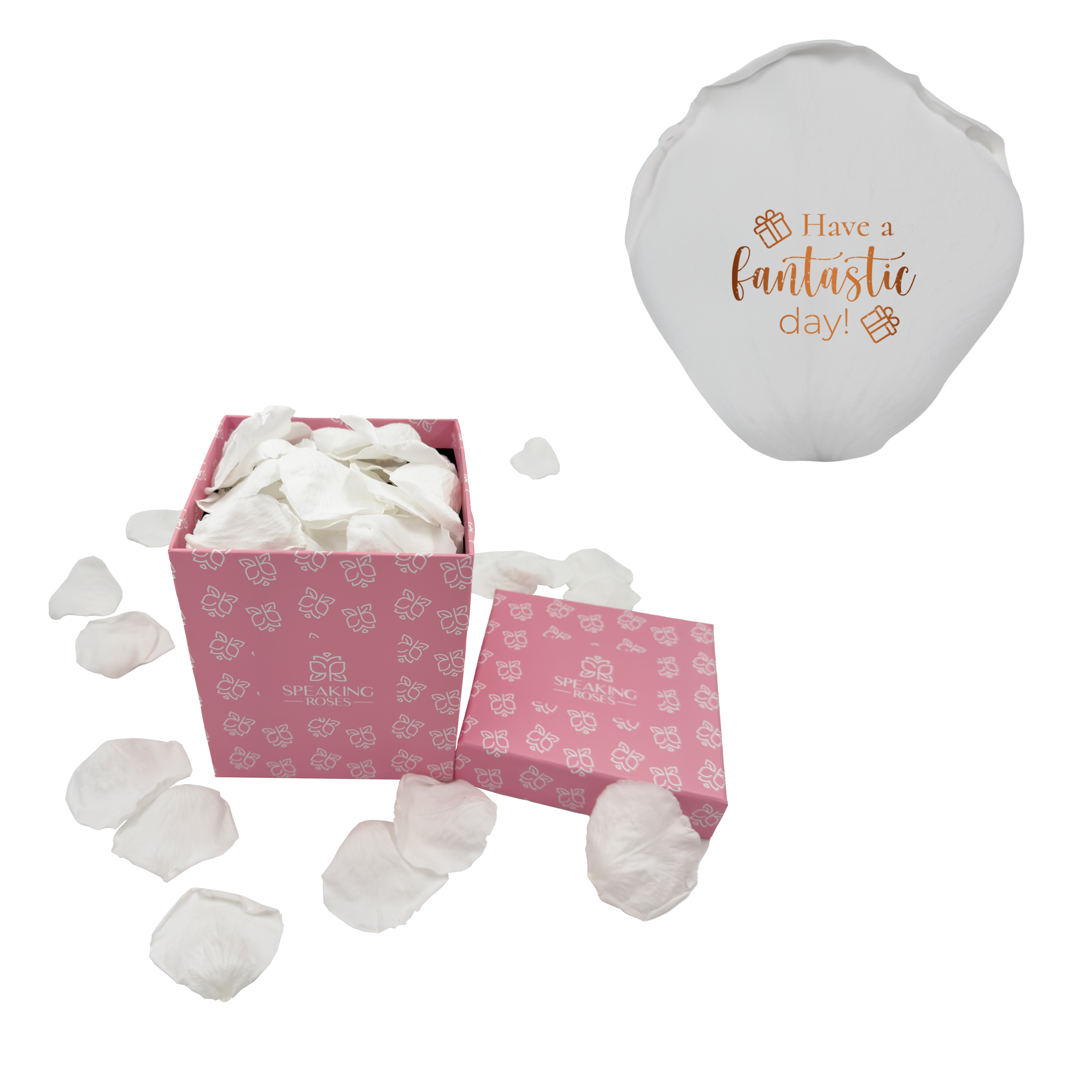 Fantastic Day - Square Paper Box (100 Preserved Rose Petals)