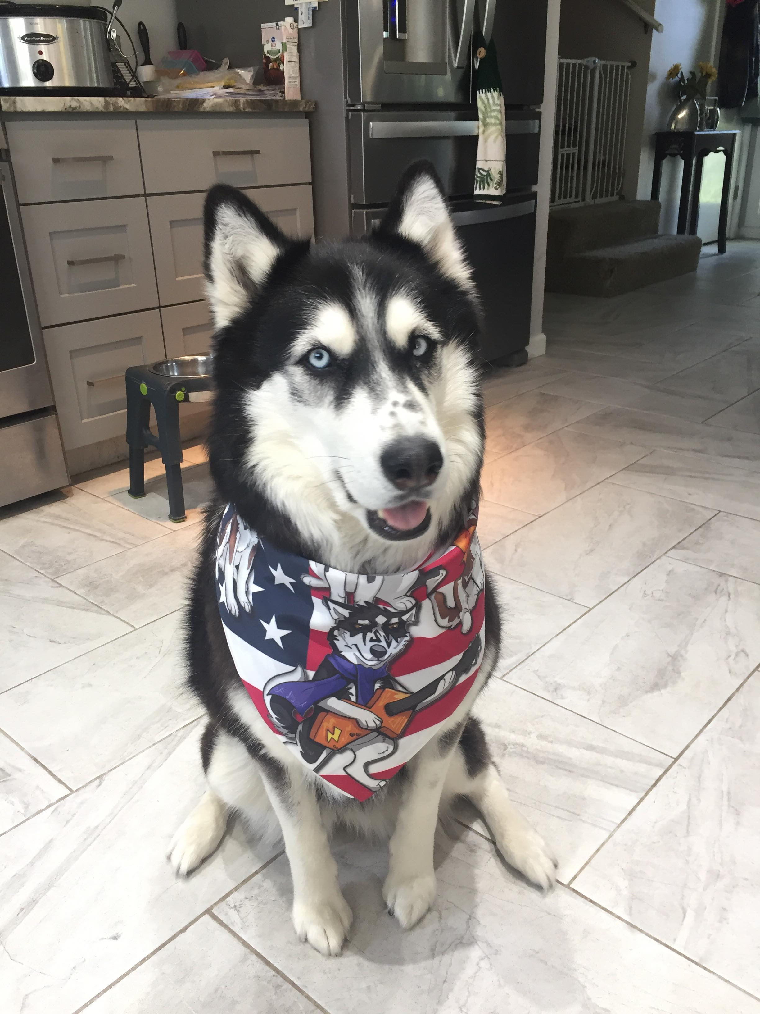 Maya & Damien with the Pups 'BANDANA' USA VERSION