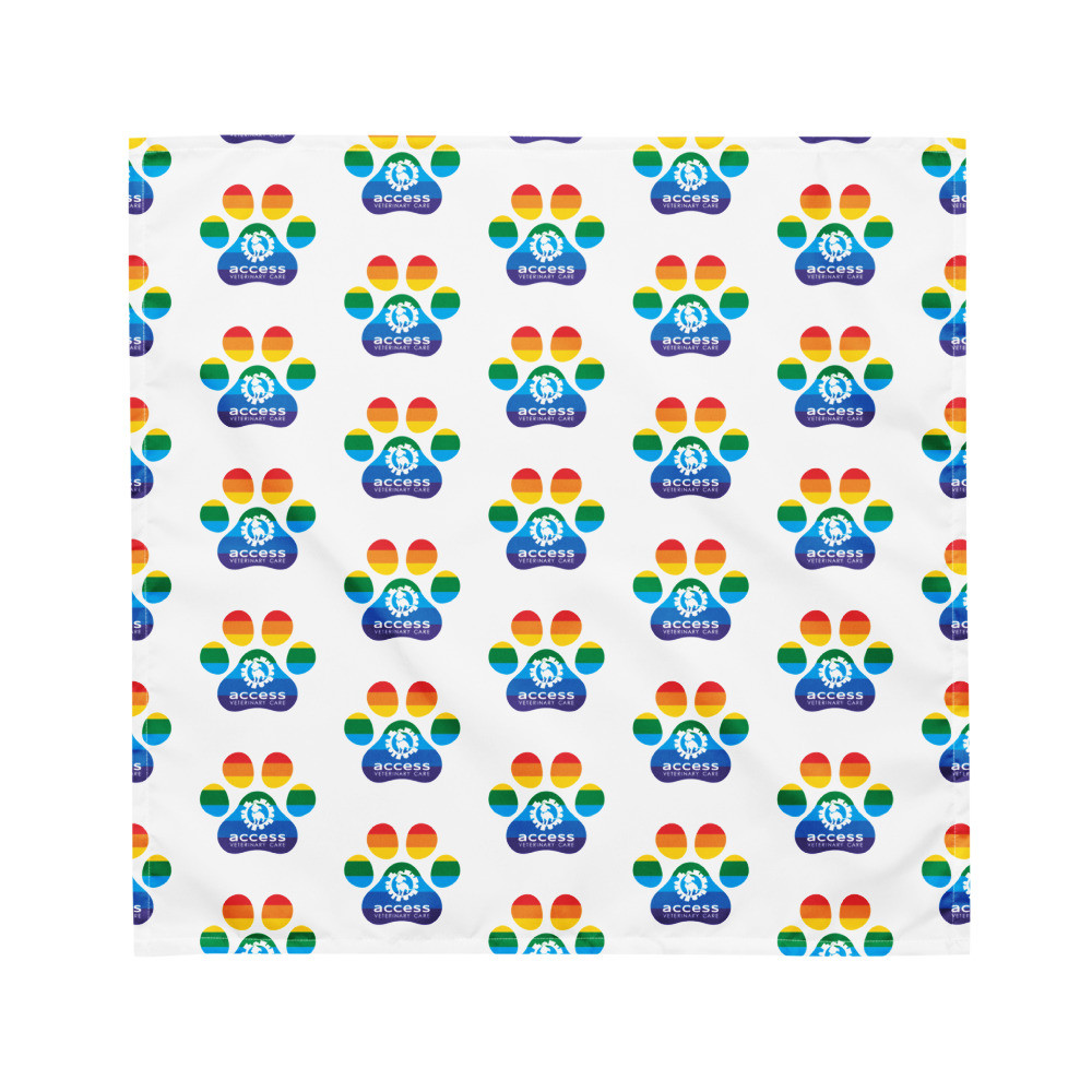 Bandana - Pride