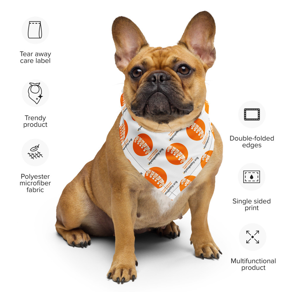 More Than A Pain In The Neck All-over print bandana