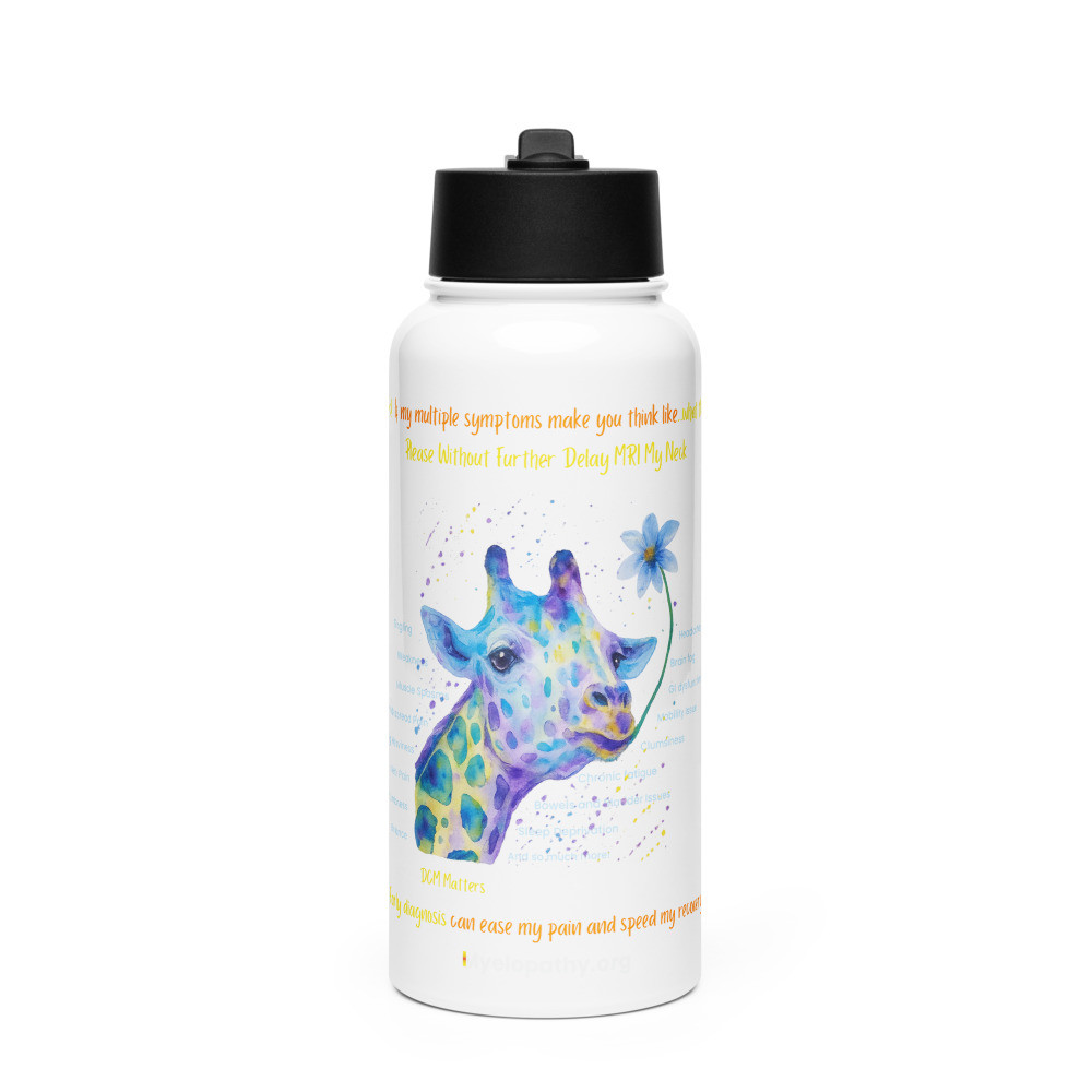 Giraffe DCM Matters Stainless Steel Water Bottle With A Straw Lid