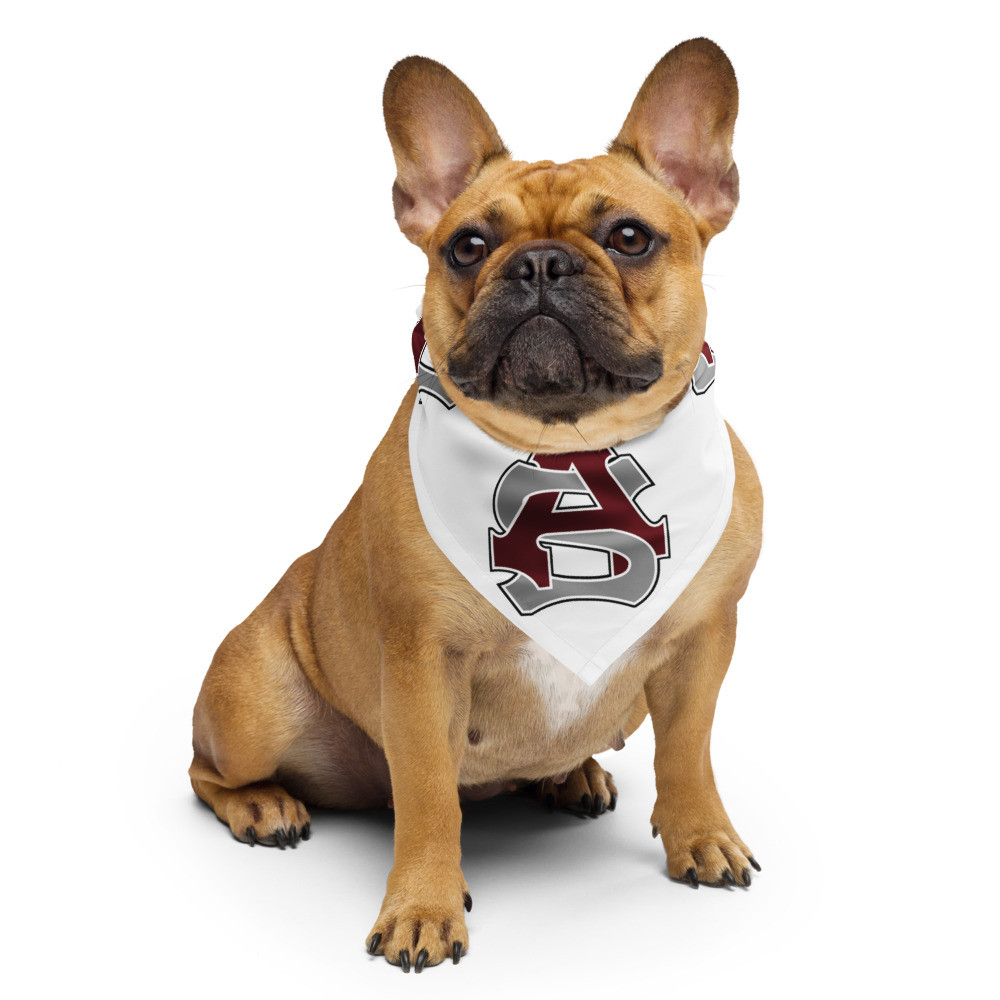 Ayer-Shirley logo bandana