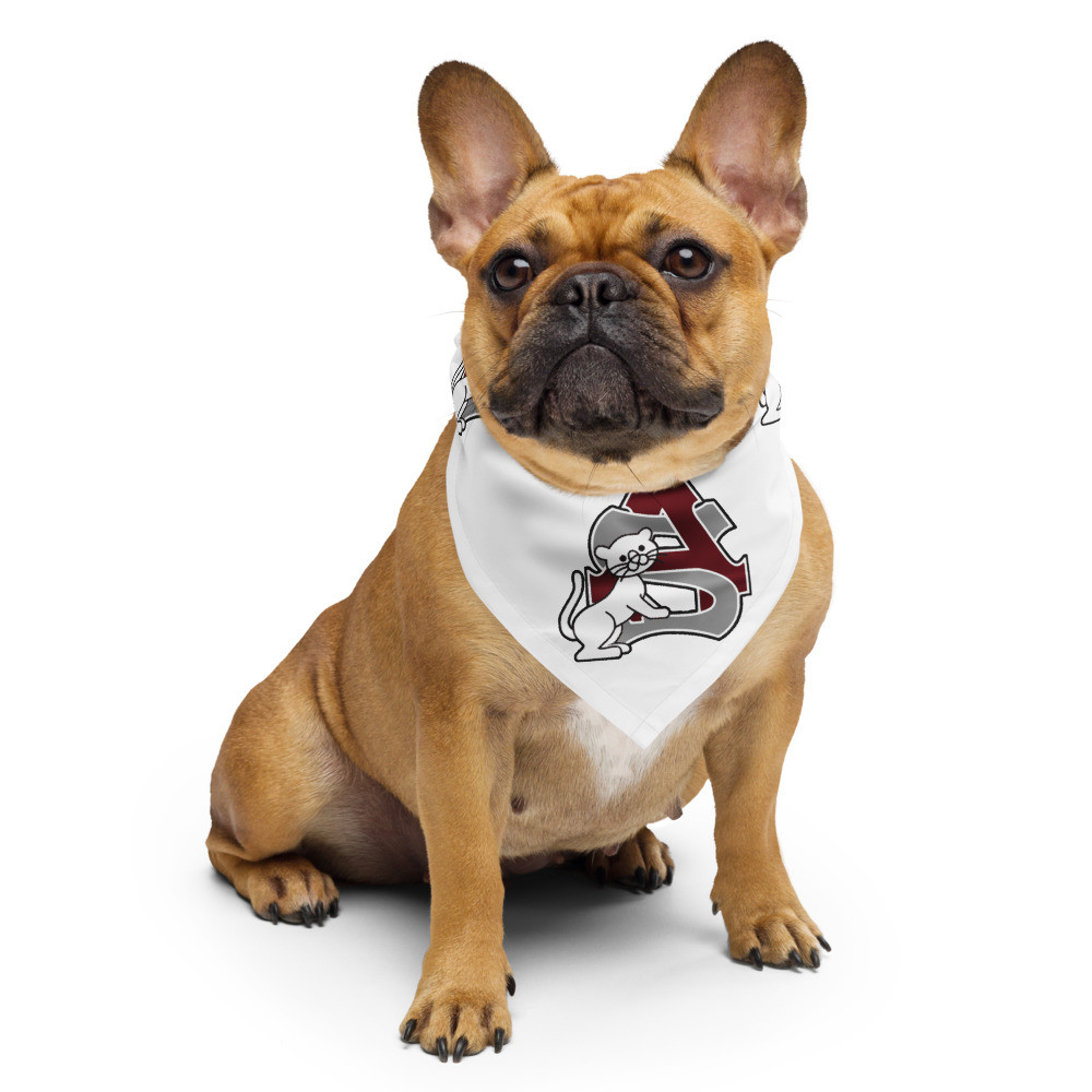 Ayer-Shirley little panthers bandana