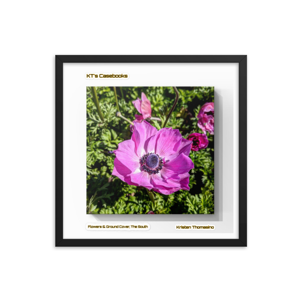 KTCB-GCF-14 KT's Casebook, Ground Cover and Flowers, KTCB-GCF-14 Framed poster