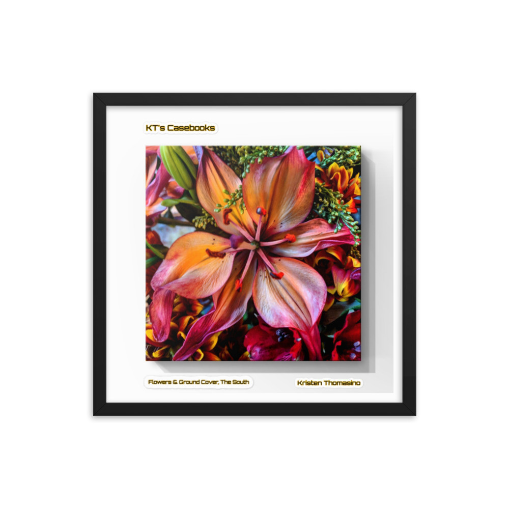KTCB-GCF-28 KT's Casebook, Ground Cover and Flowers, KTCB-GCF-28 Framed poster