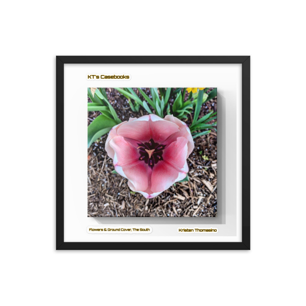KTCB-GCF-40 KT's Casebook, Ground Cover and Flowers, KTCB-GCF-40 Framed poster