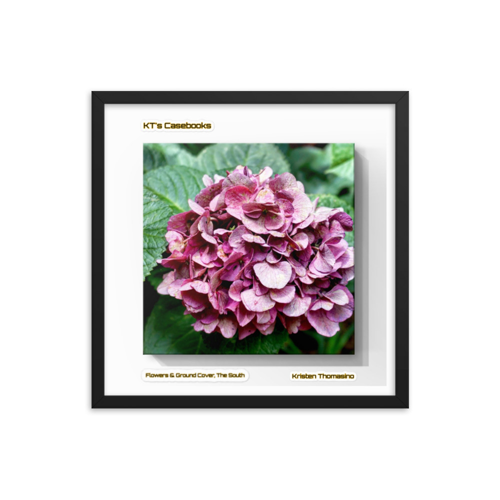 KTCB-GCF-55 KT's Casebook, Ground Cover and Flowers, KTCB-GCF-55 Framed poster