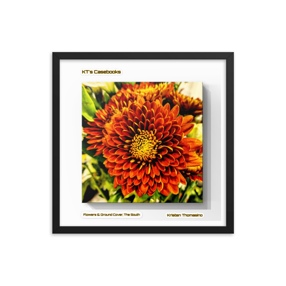 KTCB-GCF-63 KT's Casebook, Ground Cover and Flowers, KTCB-GCF-63 Framed poster