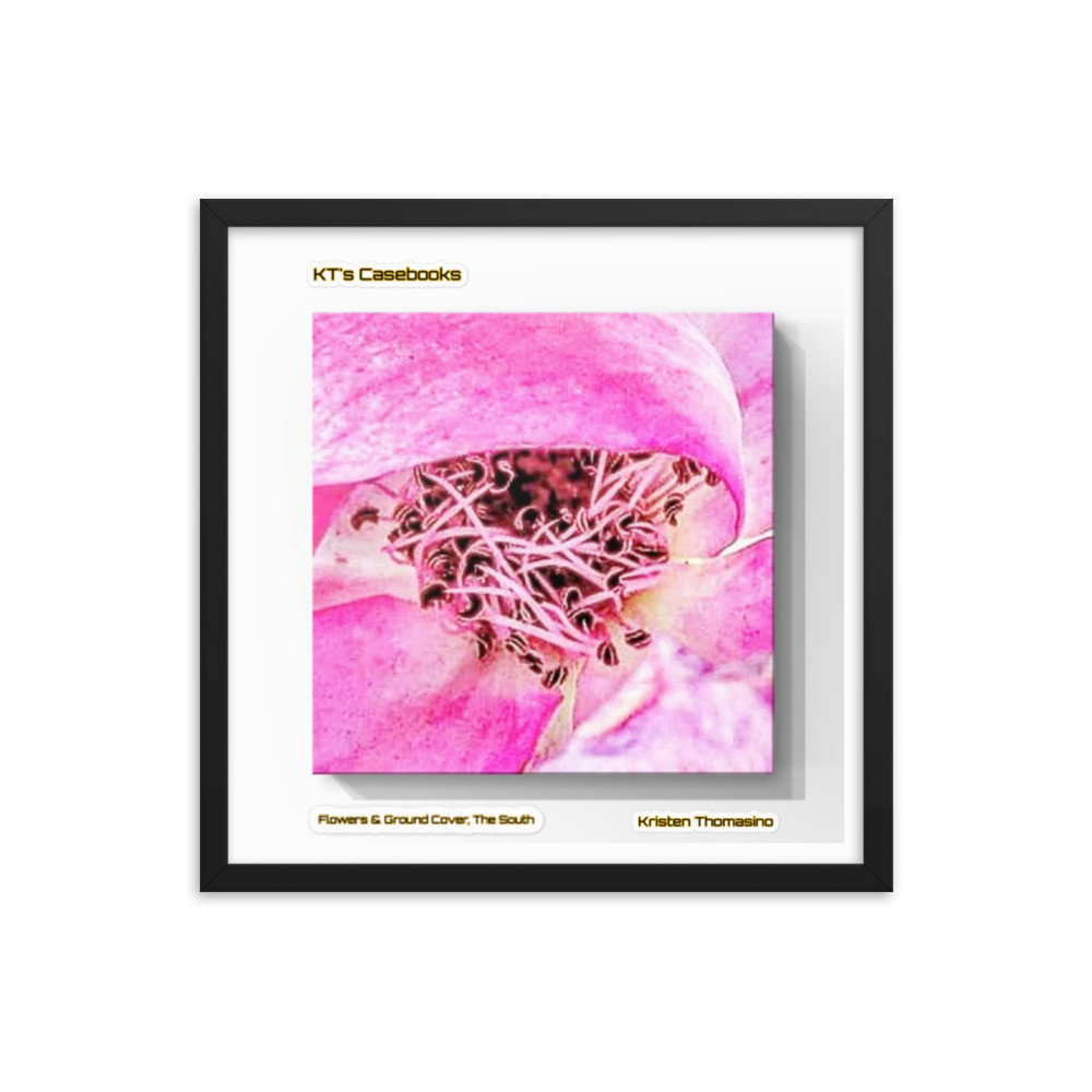 KTCB-GCF-60 KT's Casebook, Ground Cover and Flowers, KTCB-GCF-60 Framed poster