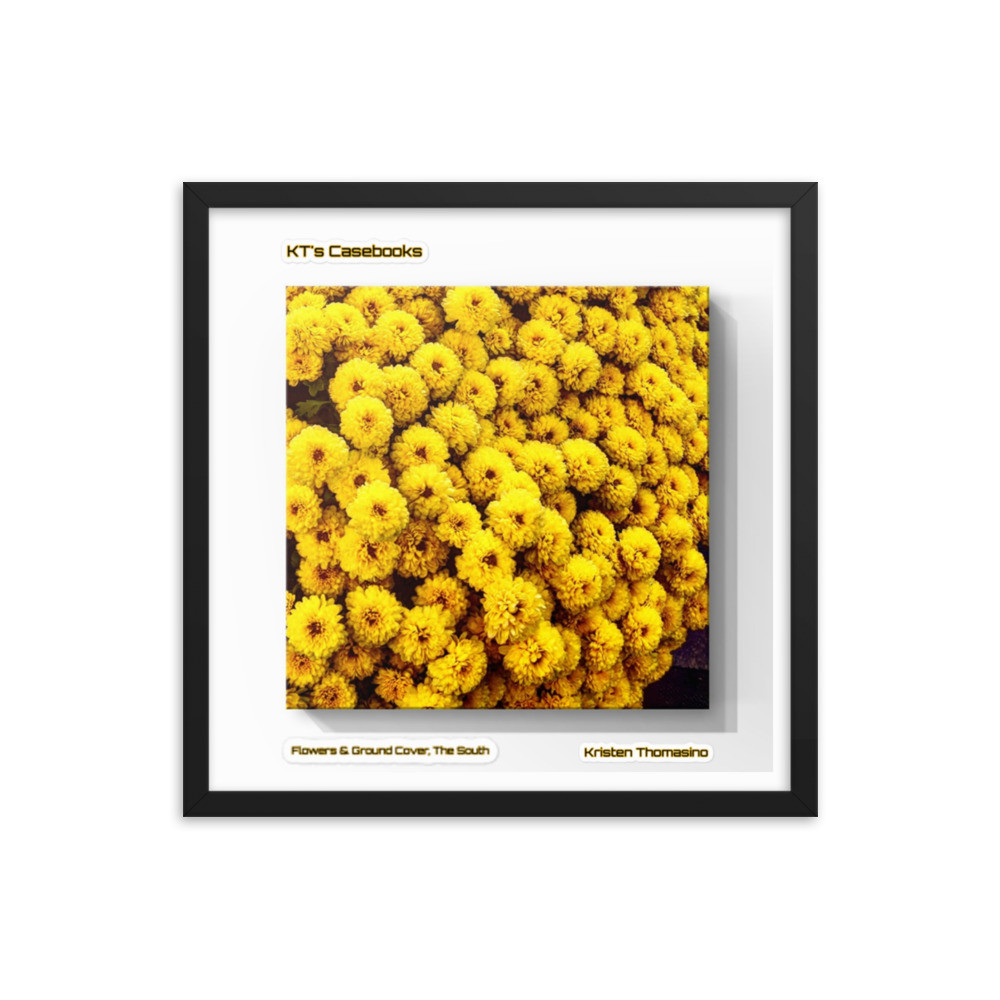 KTCB-GCF-84 KT's Casebook, Ground Cover and Flowers, KTCB-GCF-84 Framed poster