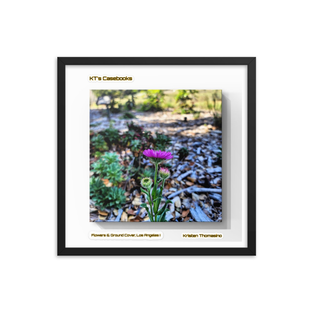 KTCB-GCLA1-14 KT's Casebook, Ground Cover, Los Angeles I, KTCB-GCLA1-14 Framed poster