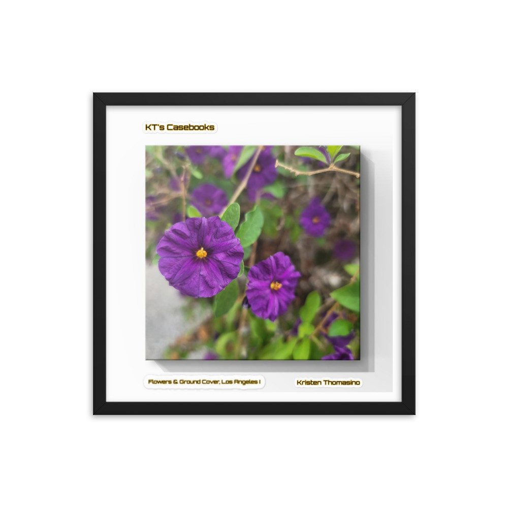 KTCB-GCLA1-22 KT's Casebook, KT's Casebook, Ground Cover, Los Angeles I, KTCB-GCLA1-22 Framed poster