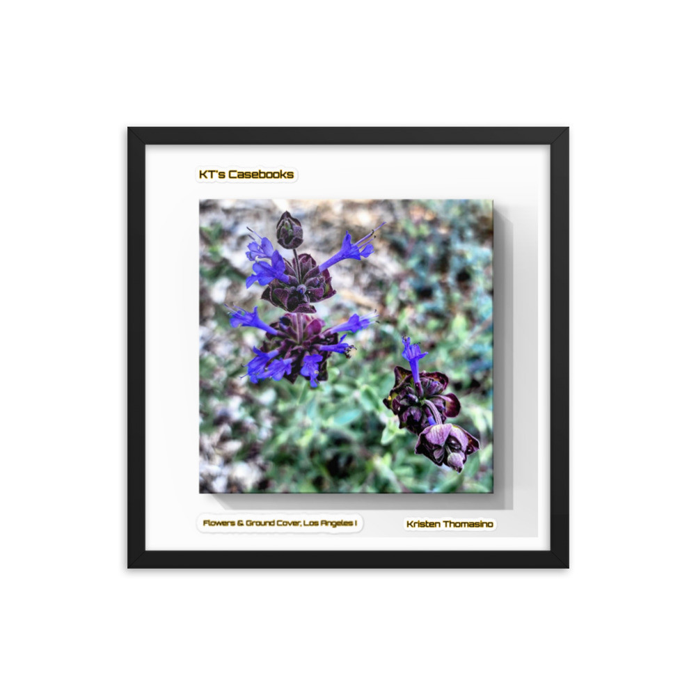 KTCB-GCLA1-34 KT's Casebook, Ground Cover, Los Angeles I, KTCB-GCLA1-34 Framed poster
