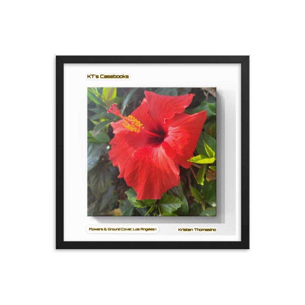 KTCB-GCLA1-44 KT's Casebook, Ground Cover, Los Angeles I, KTCB-GCLA1-44 Framed poster