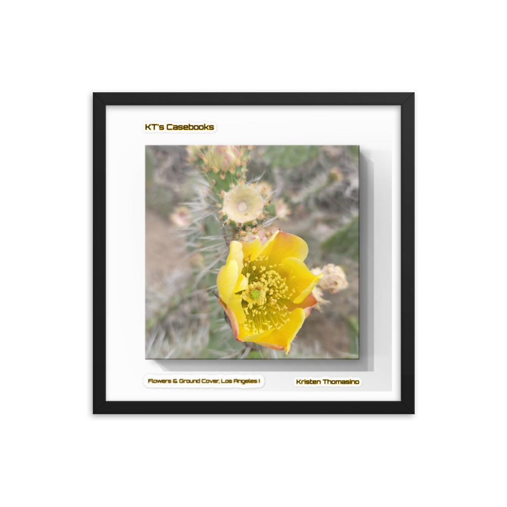 KTCB-GCLA1-53 KT's Casebook, Ground Cover and Flowers, Los Angeles I, KTCB-GCLA1-53 Framed poster