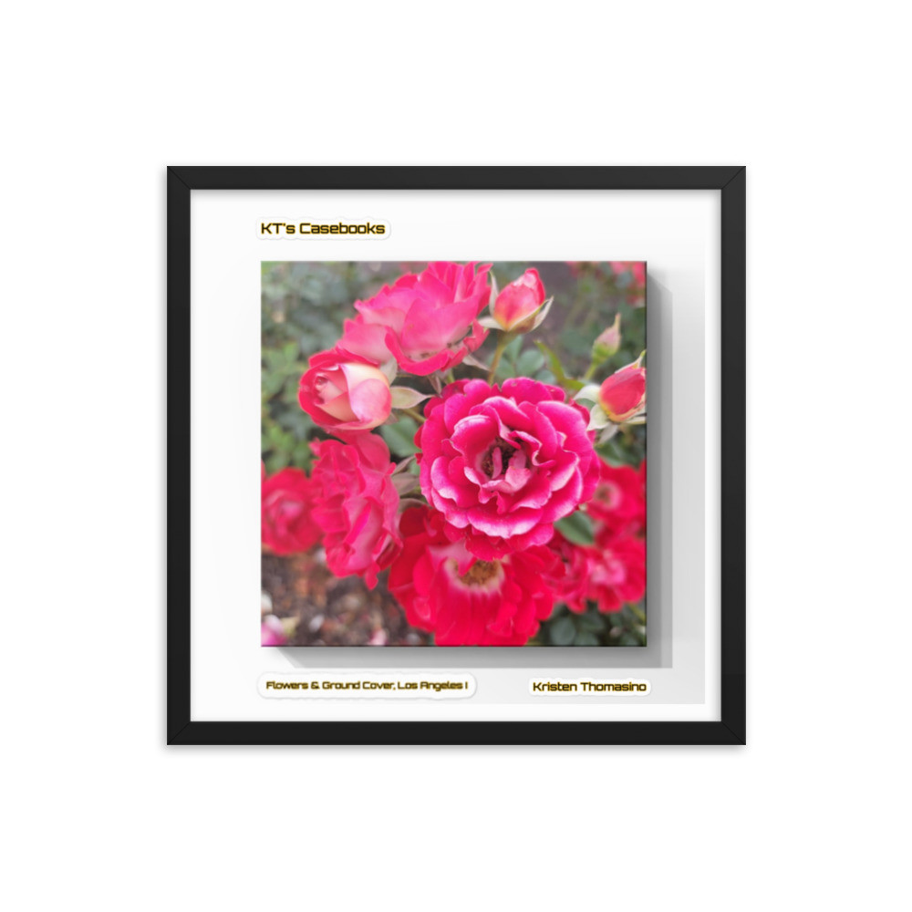 KTCB-GCLA1-74 KT's Casebook, Ground Cover and Flowers, Los Angeles I, KTCB-GCLA1-74 Framed poster