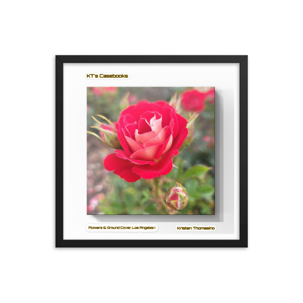 KTCB-GCLA1-77 KT's Casebook, Ground Cover and Flowers, Los Angeles I, KTCB-GCLA1-77 Framed poster