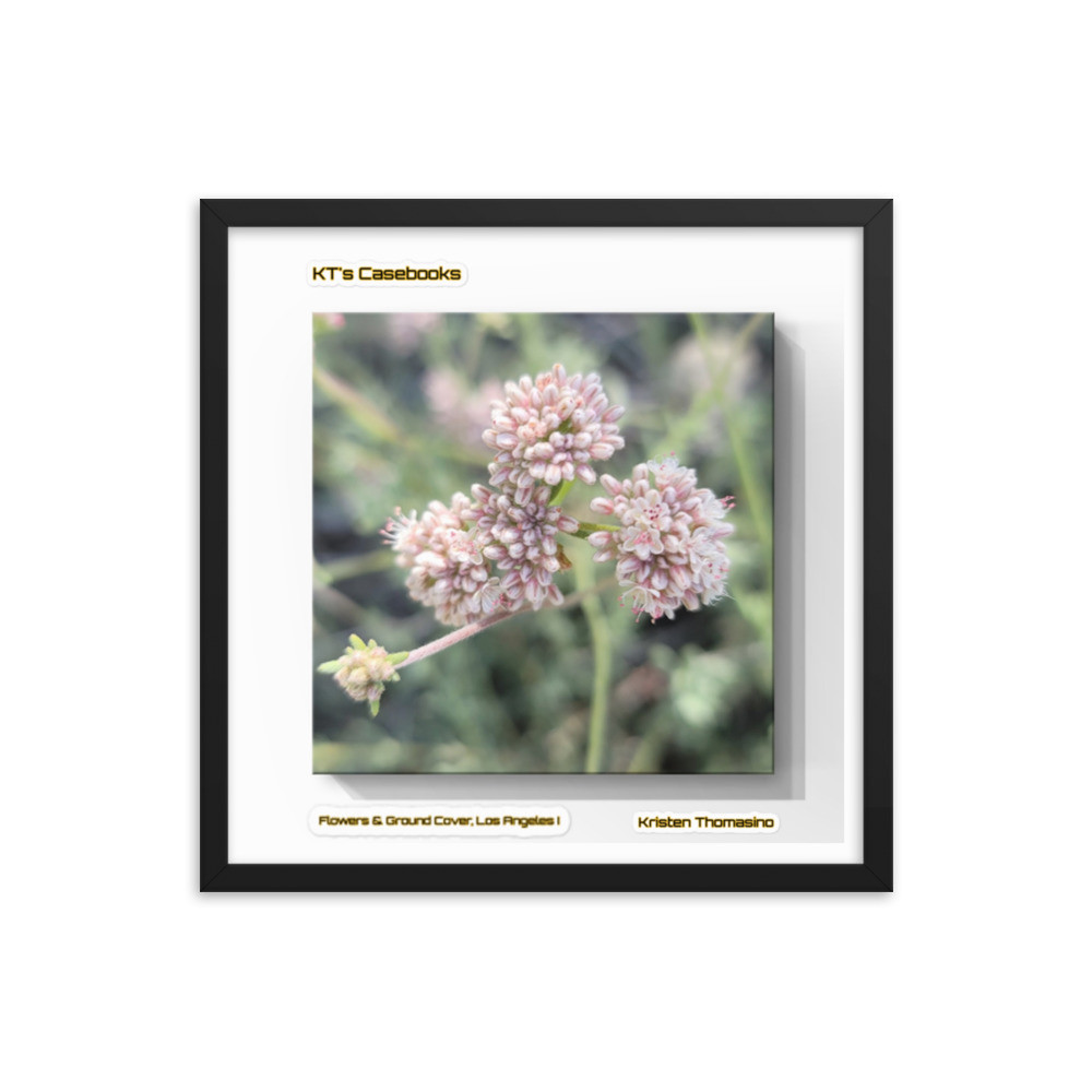 KTCB-GCLA1-56 KT's Casebook, Ground Cover and Flowers, Los Angeles I, KTCB-GCLA1-56 Framed poster