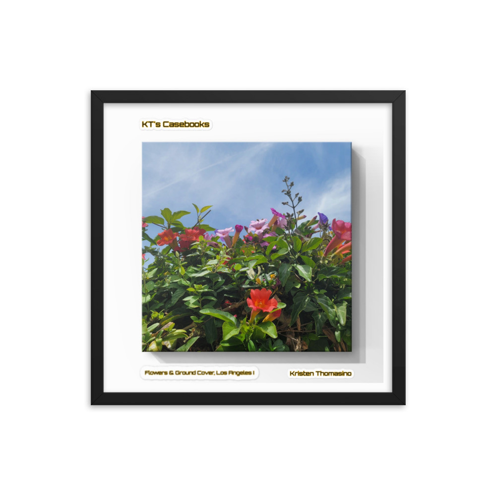 KTCB-GCLA1-82 KT's Casebook, Ground Cover and Flowers, Los Angeles I, KTCB-GCLA1-82 Framed poster