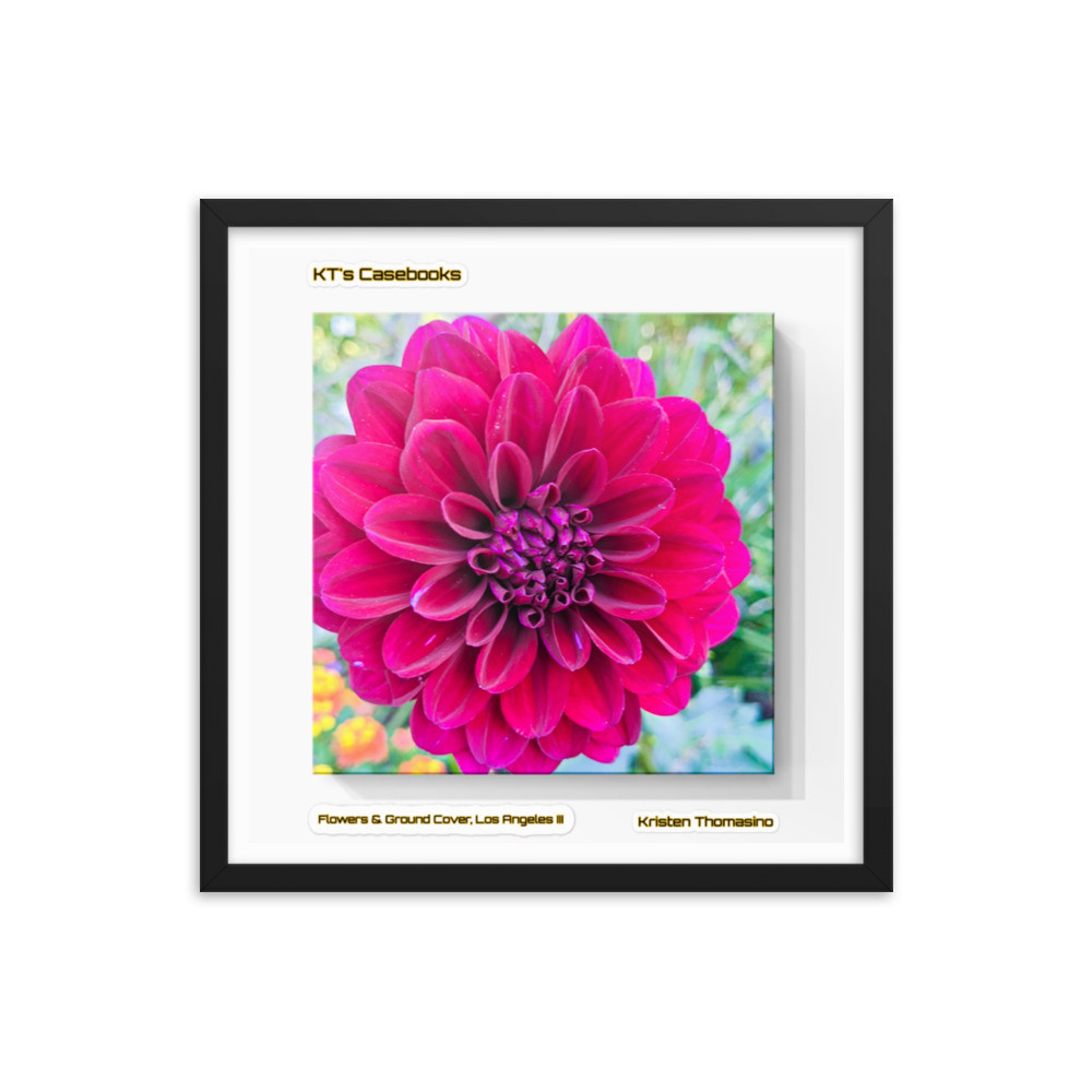 KTCB-GCLAIII-2 KT's Casebook, Ground Cover and Flowers, Los Angeles III, KTCB-GCLAIII-2 Framed poster