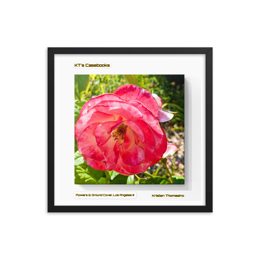 KTCB-GCLAIII-64 KT's Casebook, Ground Cover and Flowers, Los Angeles III, KTCB-GCLAIII-64 Framed poster