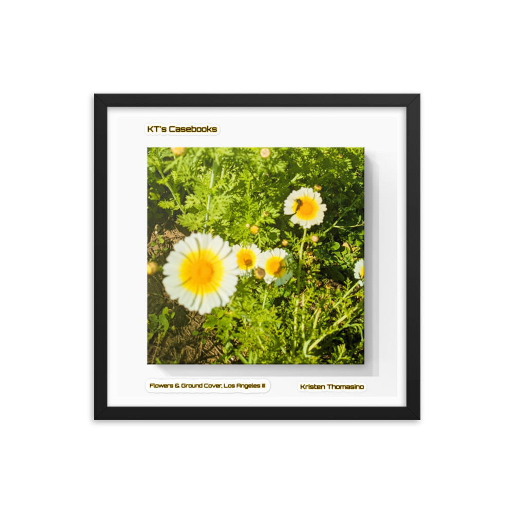 KTCB-GCLAIII-87 KT's Casebook, Ground Cover and Flowers, Los Angeles III, KTCB-GCLAIII-87 Framed poster