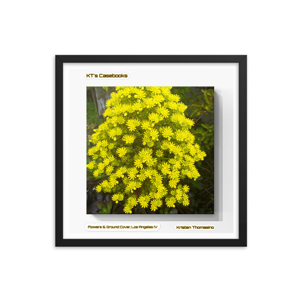 KTCB-GCLAIV-8 KT's Casebook, Ground Cover and Flowers, Los Angeles IV, KTCB-GCLAIV-8 Framed poster