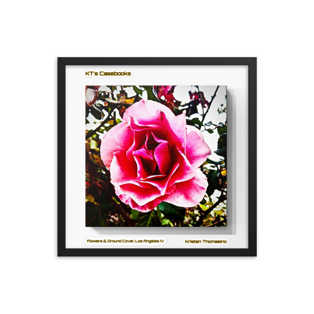 KTCB-GCLAIV-31 KT's Casebook, Ground Cover and Flowers, Los Angeles IV, KTCB-GCLAIV-31 Framed poster