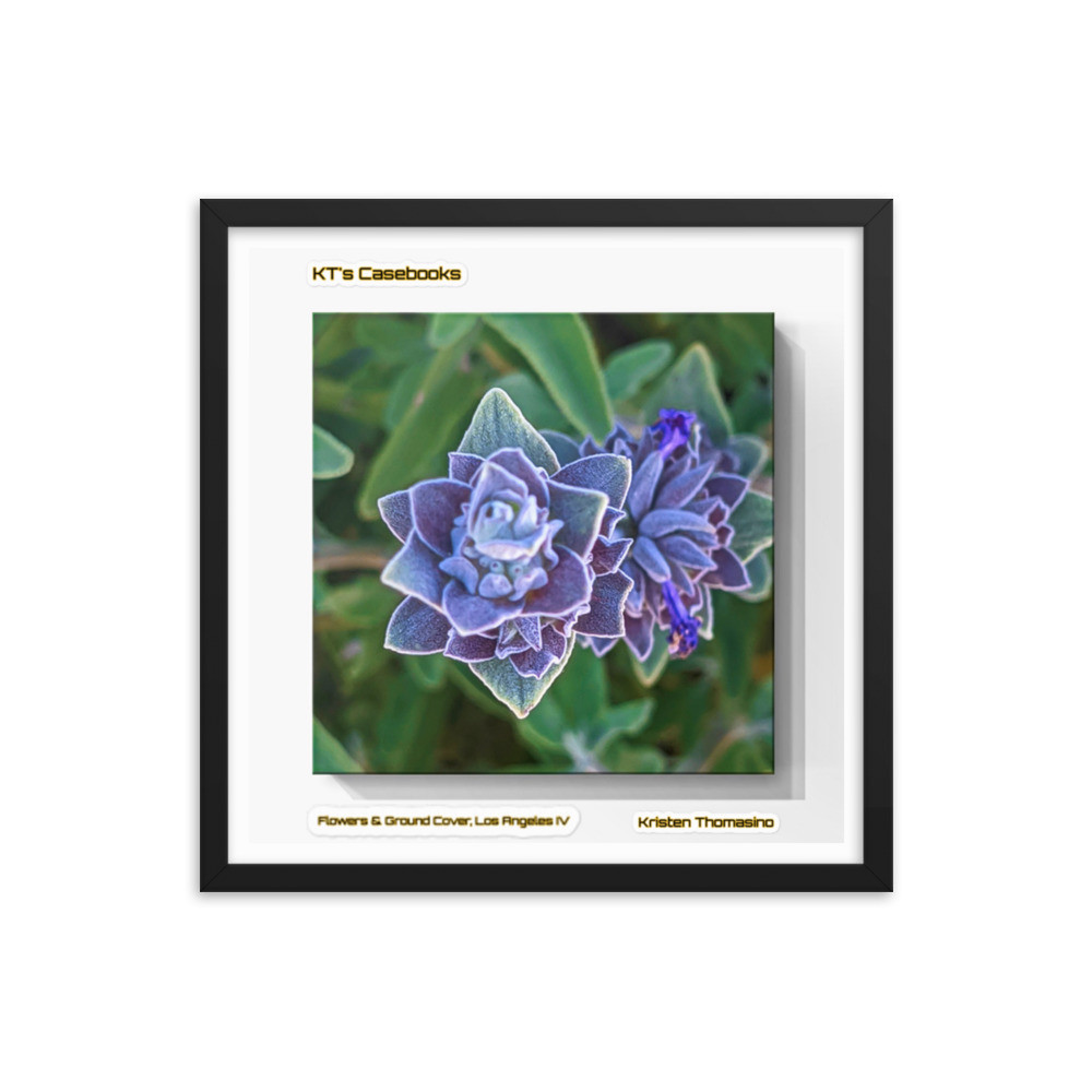 KTCB-GCLAIV-52 KT's Casebook, Ground Cover and Flowers, Los Angeles IV, KTCB-GCLAIV-52 Framed poster