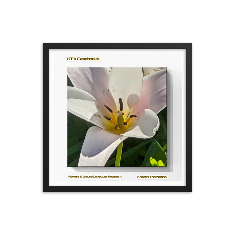 KTCB-GCLAIV-57 KT's Casebook, Ground Cover and Flowers, Los Angeles IV, KTCB-GCLAIV-57 Framed poster