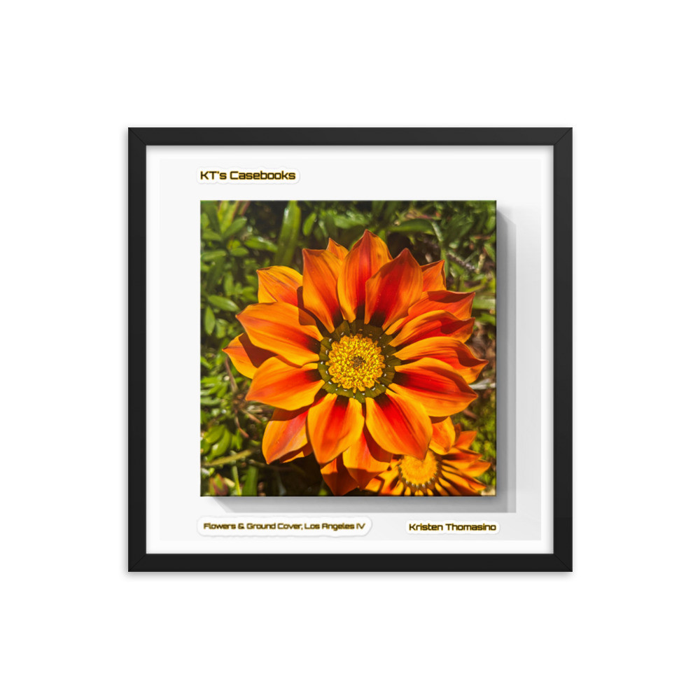 KTCB-GCLAIV-75 KT's Casebook, Ground Cover and Flowers, Los Angeles IV, KTCB-GCLAIV-75 Framed poster