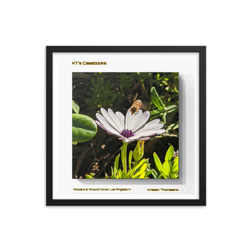 KTCB-GCLAIV-80 KT's Casebook, Ground Cover and Flowers, Los Angeles IV, KTCB-GCLAIV-80 Framed poster
