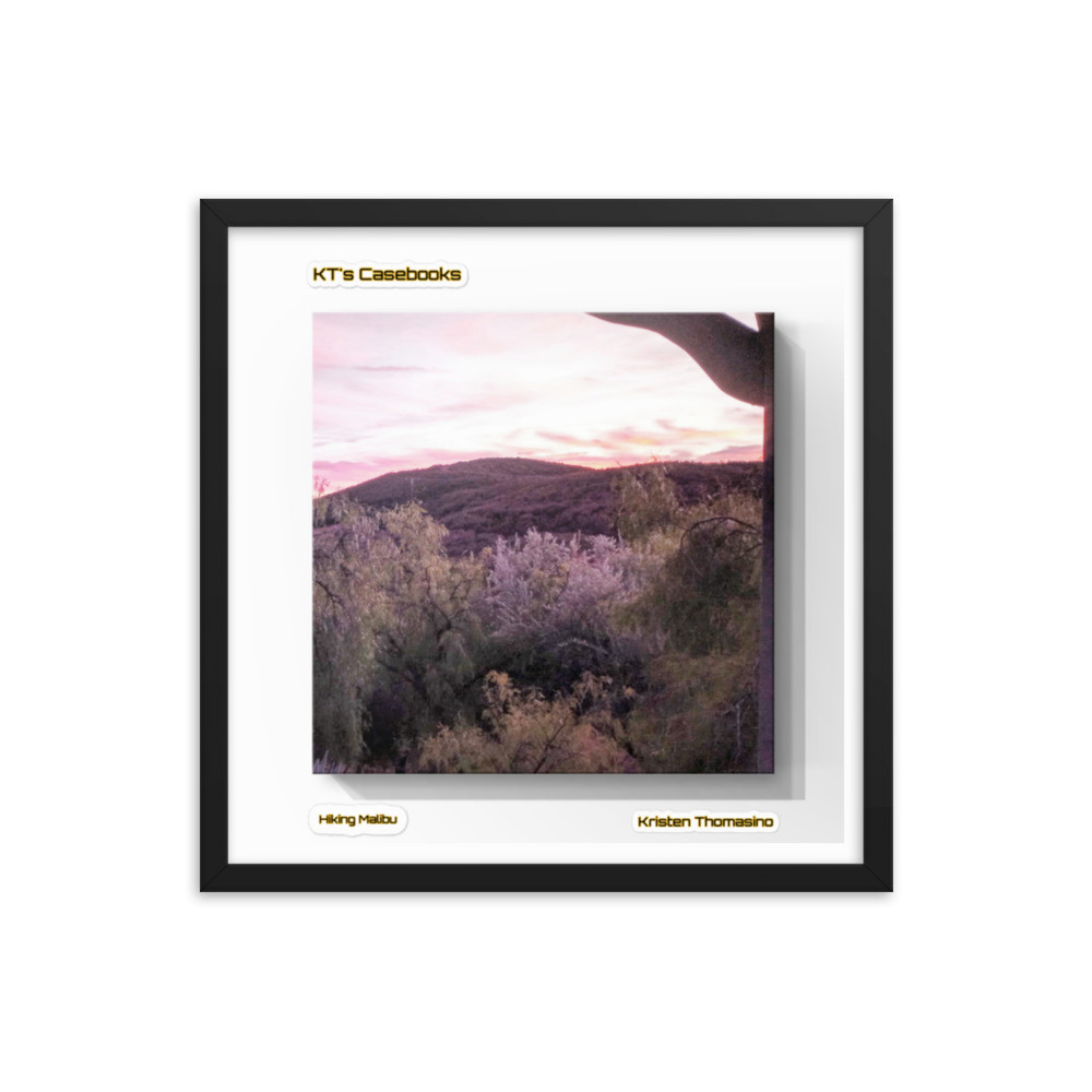 KTCB-HM-8 KT's Casebook, Hiking Malibu, KTCB-HM-8 Framed poster