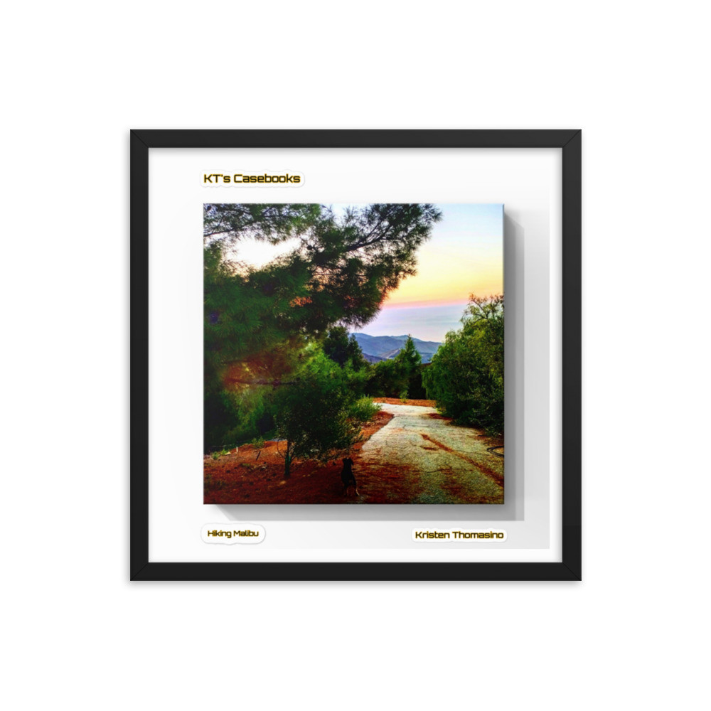 KTCB-HM-11 KT's Casebook, Hiking Malibu, KTCB-HM-11 Framed poster