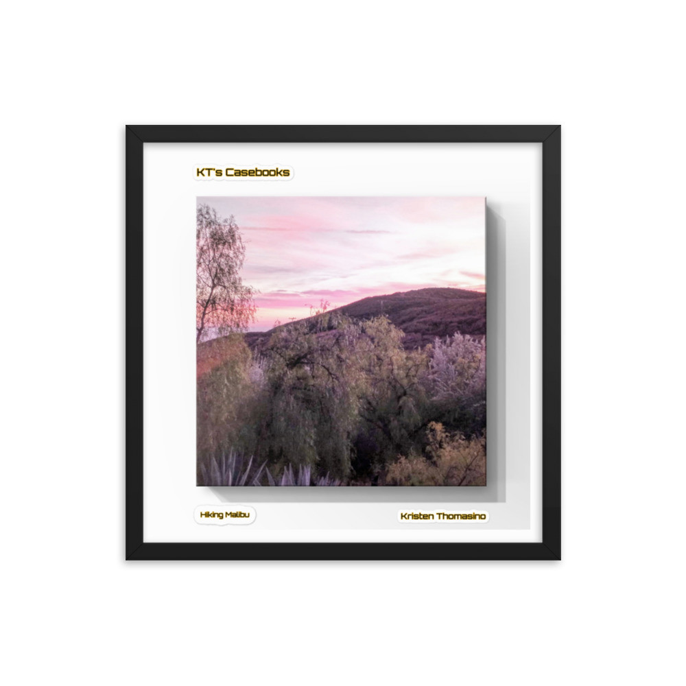KTCB-HM-28 KT's Casebook, Hiking Malibu, KTCB-HM-28 Framed poster