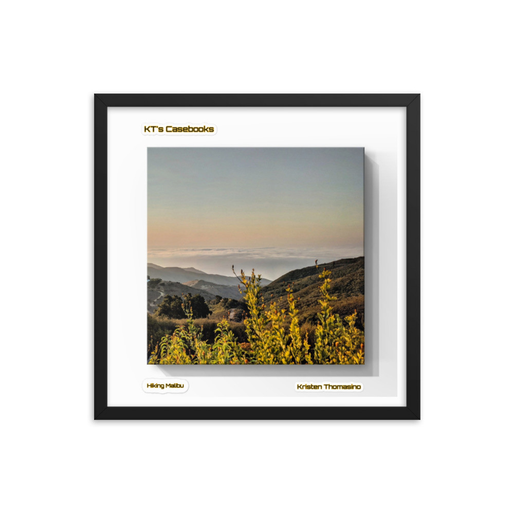 KTCB-HM-39 KT's Casebook, Hiking Malibu, KTCB-HM-39 Framed poster