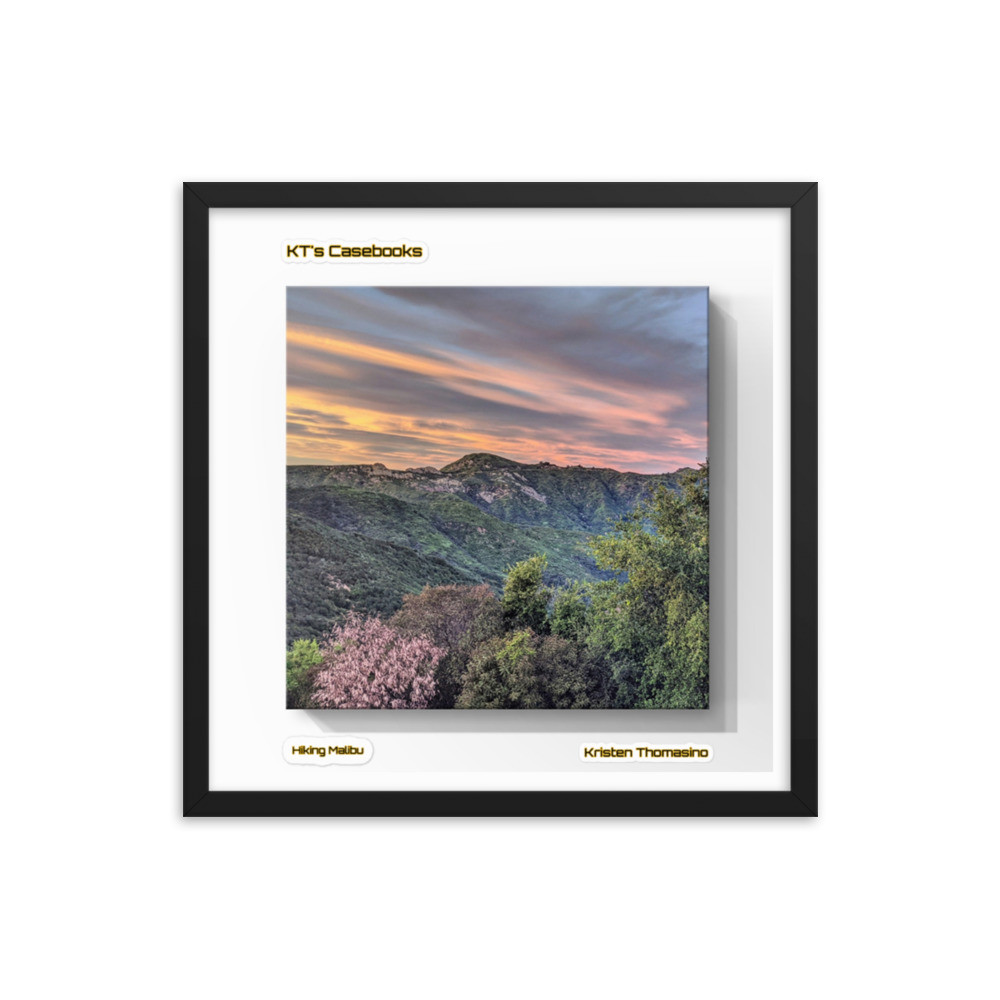 KTCB-HM-51 KT's Casebook, Hiking Malibu, KTCB-HM-54 Framed poster