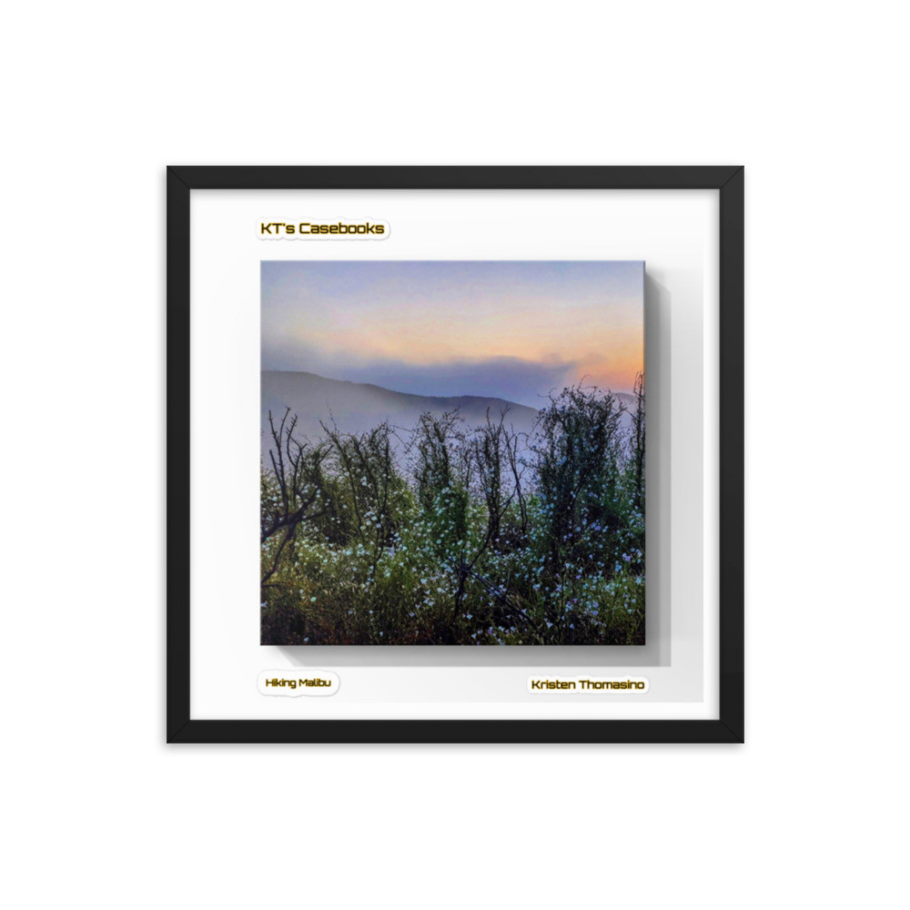 KTCB-HM-64 KT's Casebook, Hiking Malibu, KTCB-HM-64 Framed poster