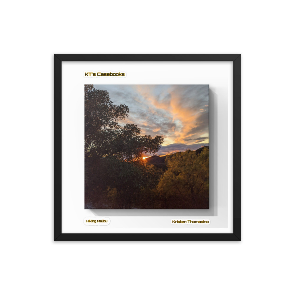 KTCB-HM-81 KT's Casebook, Hiking Malibu, KTCB-HM-81 Framed poster
