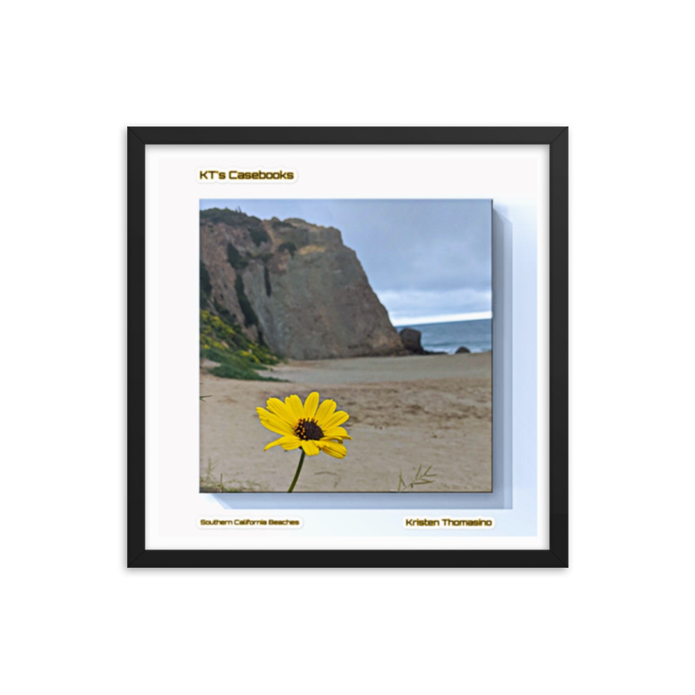 KTCB-CB-57: KT's Casebook, Southern California Beaches, KTCB-CB-57 Framed poster