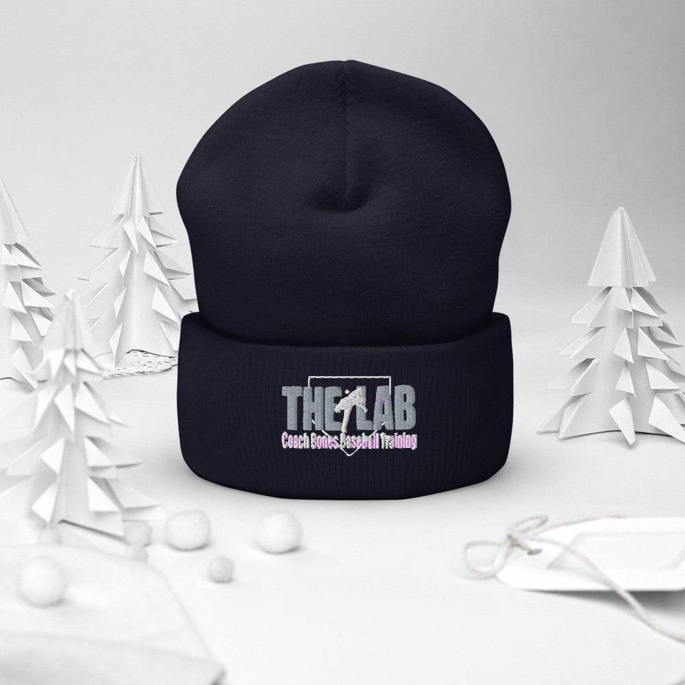 (D) The LAB Cuffed Beanie