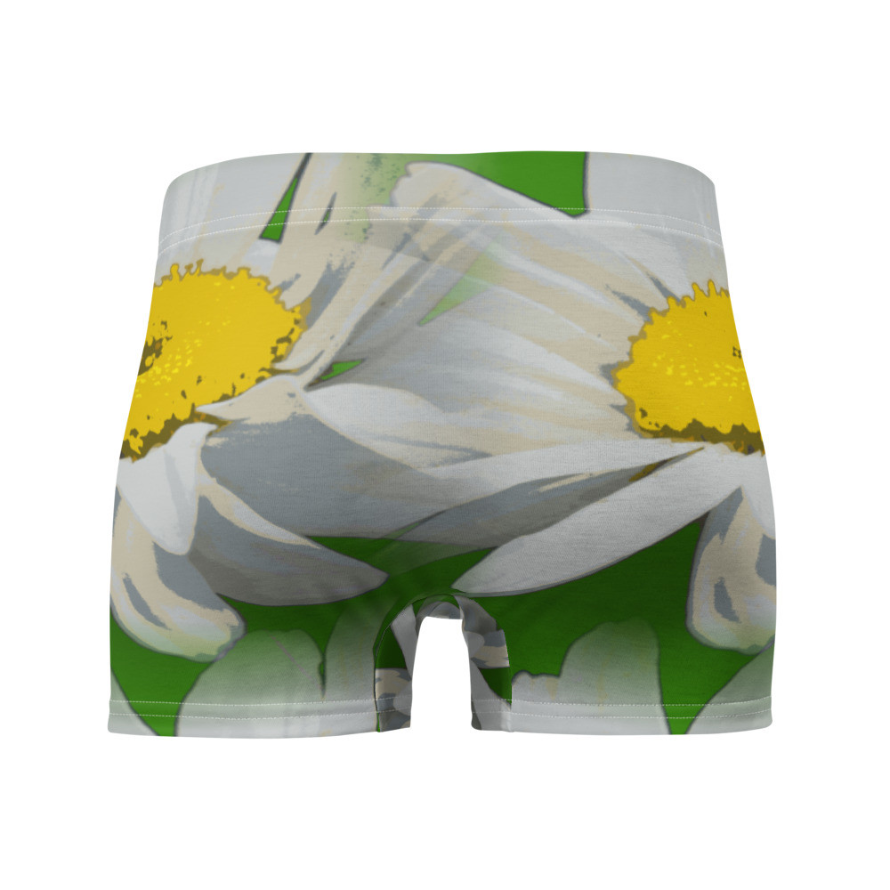 Boxer Briefs, Unterhosen Für Ihn original dELLaS Design  2023