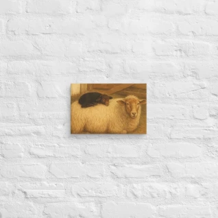 Resting California Ewe and Lamb-Farmhouse Style Canvas Print