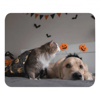 Halloween Mouse pad