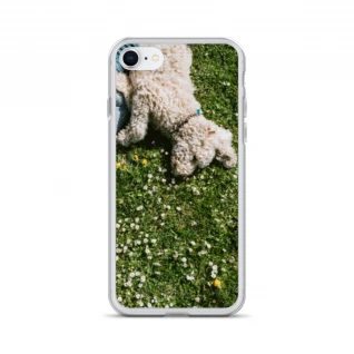 Pets Pattern iPhone Case