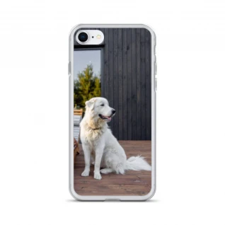 Pets Pattern iPhone Case