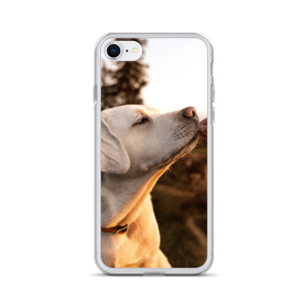 Pets Pattern iPhone Case