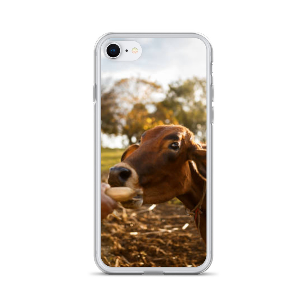 Pets Pattern iPhone Case