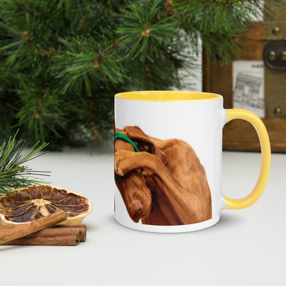 Christmas Mug with Color Inside